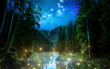 Fantastic night forest and glowing lights clipart