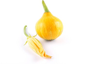 Cucurbit ve beyaz çiçek