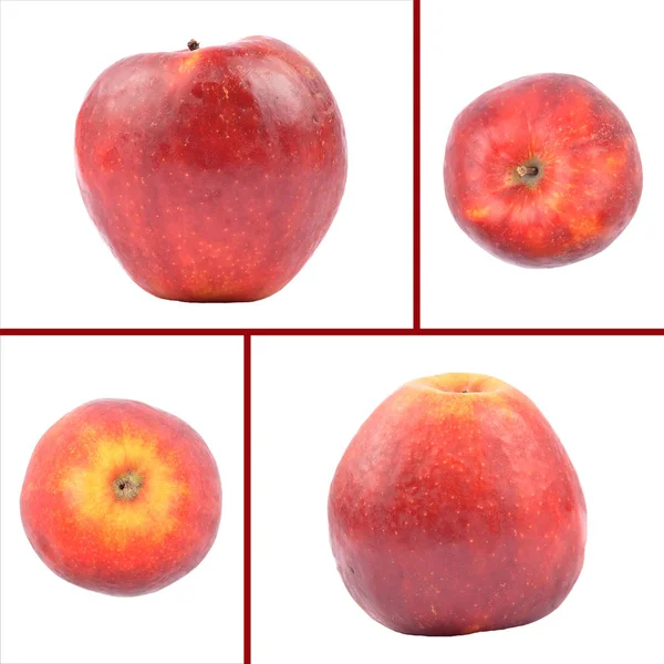 Manzana Roja Como Collage Sobre Blanco — Foto de Stock