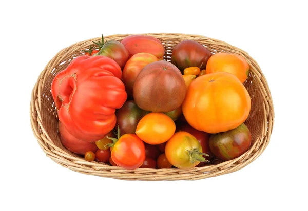 Cesta Colheita Com Tomates Fundo Branco — Fotografia de Stock