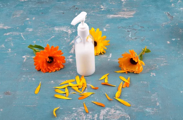 Natural Cosmetics Common Marigold Weathered Concrete — Stock Photo, Image