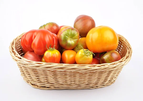 Cesta Colheita Com Tomates Fundo Branco — Fotografia de Stock