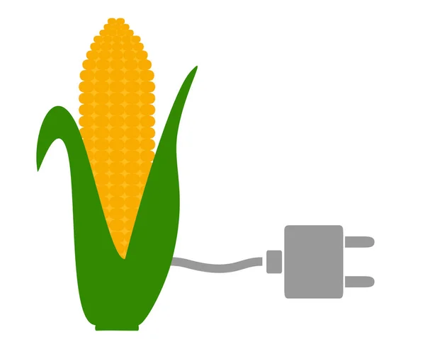 Кукурудзяний коб на білому — стоковий вектор