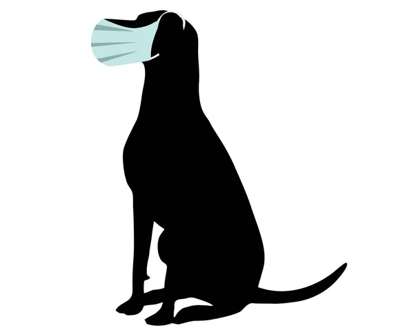 Perro Con Máscara Protectora Blanco — Vector de stock