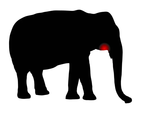 Elefante Con Mal Denti Bianco — Vettoriale Stock