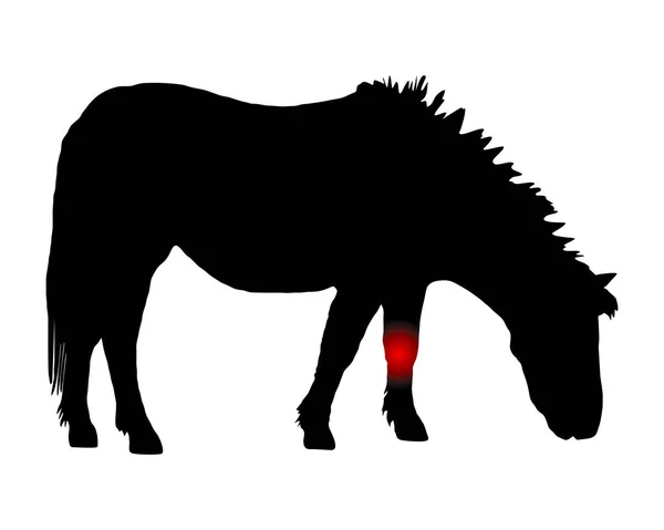 Pony Con Dolor Rodilla — Vector de stock