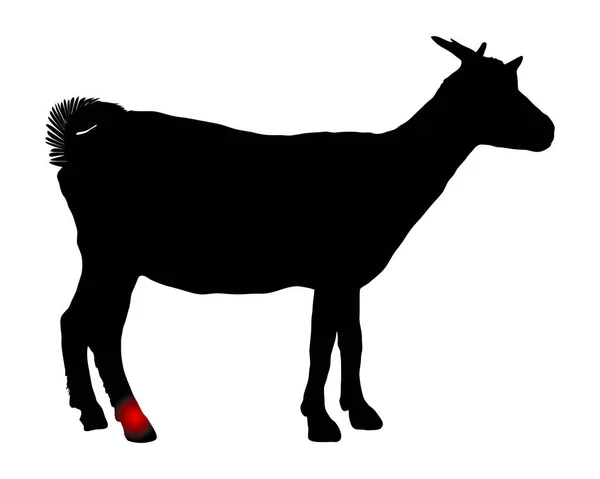 Goat Pain Hock — Stock Vector