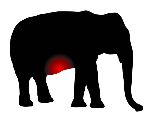 Elefánt Hasfájással Fehér Alapon — Stock Vector