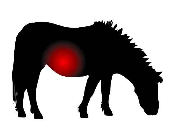 Pony Mit Schmerzen Bauch — Stockvektor