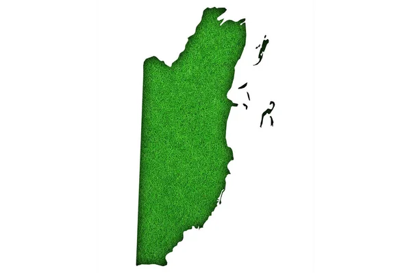 Mapa Belice Fieltro Verde — Foto de Stock