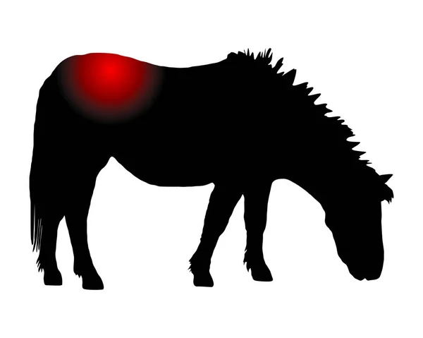 后背疼痛的小马 — 图库矢量图片