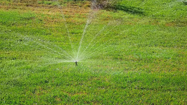 Der Grüne Rasen Wird Automatisch Bewässert — Stockfoto