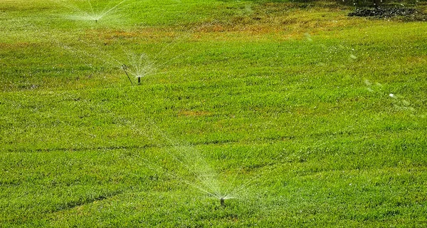 Automatic watering of the green lawn.