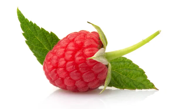 Reife Rote Himbeeren Isoliert Auf Weißem Hintergrund — Stockfoto