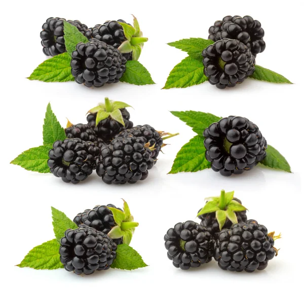 Satz Von Reifen Brombeeren Mit Grünen Blättern Isoliert Auf Weißem — Stockfoto