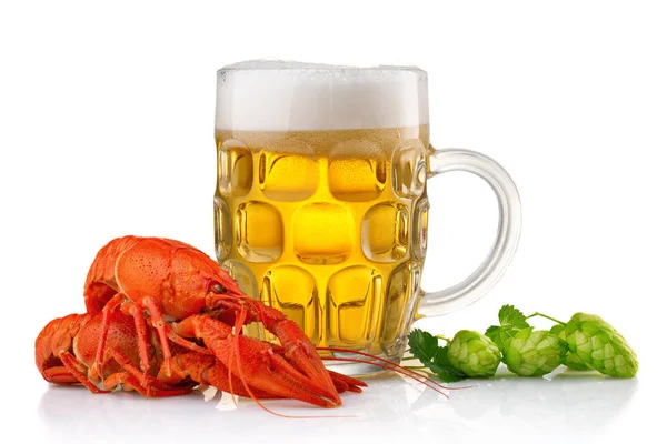 Glass of beer with boiled crayfishes and green hop — Stock Photo, Image
