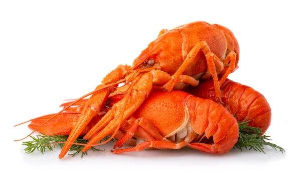 Boiled crayfish with dill isolated on white — Stock Photo, Image