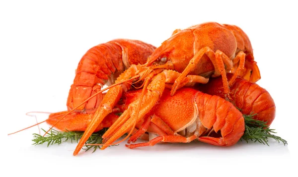 Boiled crayfish with dill isolated on white — Stock Photo, Image