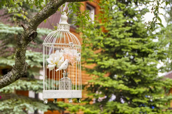 Ağaçta Asılı Kuş Ile Beyaz Kafes — Stok fotoğraf