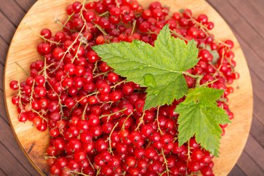 deoyevanny çanak yaprak yeşil ile üzerinde taze kırmızı kuş üzümü