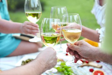 Kızartma kadehlerin piknik üzerinde insanlar. Yakın çekim