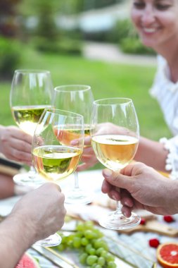 Kızartma kadehlerin piknik üzerinde insanlar. Yakın çekim