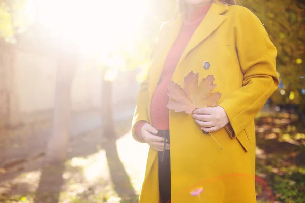 Young Pretty Pregnant Woman Outdoors Autumn Park — Stock Photo, Image