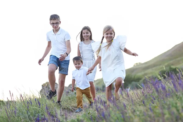 Kinderen Spelen Actief Zomer Medow — Stockfoto