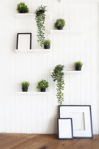 Plantes Vertes Sur Des Étagères Blanches Sur Mur Blanc Dans — Photo