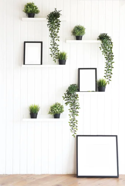 Plantes Vertes Sur Des Étagères Blanches Sur Mur Blanc Dans — Photo