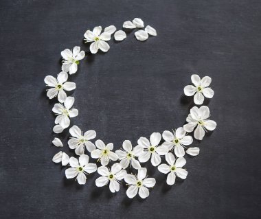 Elma ağacının koyu arka plan üzerinde beyaz çiçekler