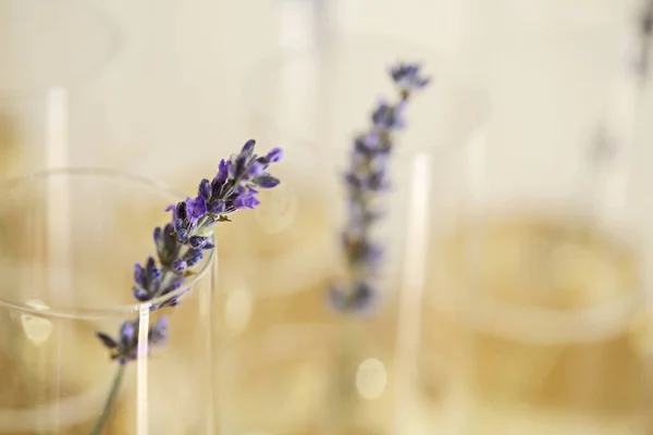 Bicchieri Champagne Decorati Con Lavanda Sfondo Sfocato Dof — Foto Stock