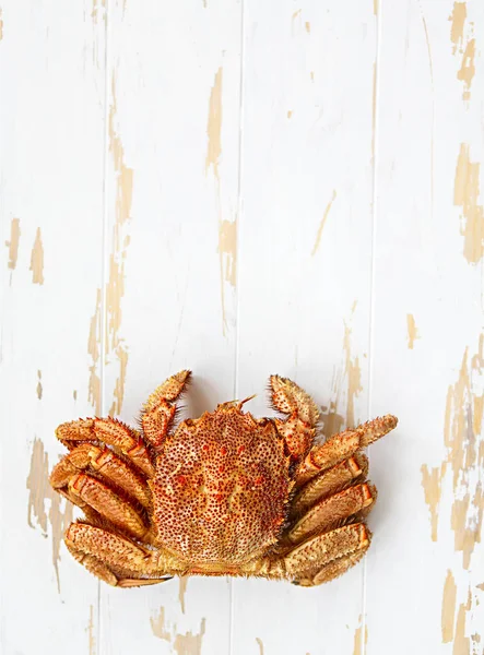 一只刚煮好的螃蟹在质朴的白色木桌上 顶视图 — 图库照片