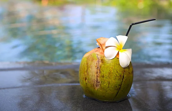 수영장의 가장자리에 코코넛의 클로즈업 — 스톡 사진