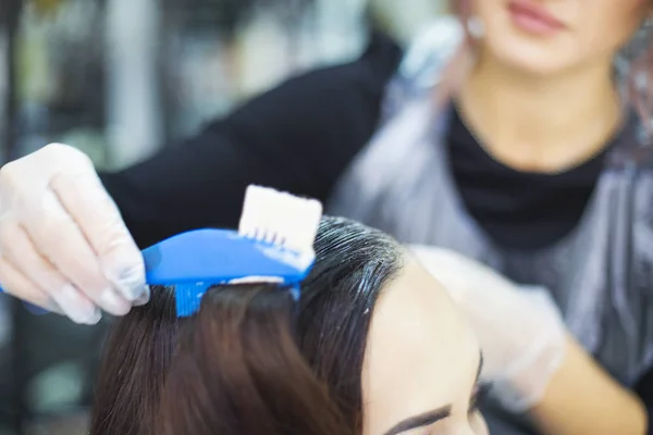 Peluquería Femenina Profesional Aplicando Color Cliente Femenino Peluquería Diseño Mujer —  Fotos de Stock