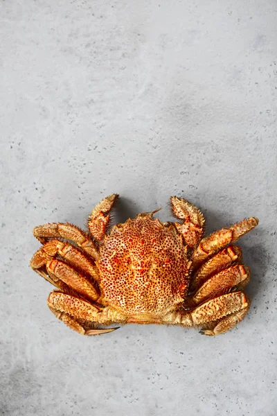 在灰色的厨房桌子上放一只刚煮好的螃蟹 顶视图 — 图库照片
