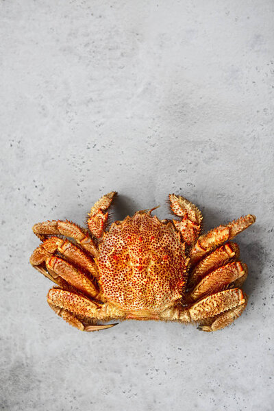 One freshly cooked crab on the gray kitchen table. Top view