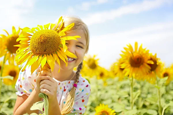 Criança Brincando Campo Girassol Dia Ensolarado Verão Menina Brinca Com — Fotografia de Stock