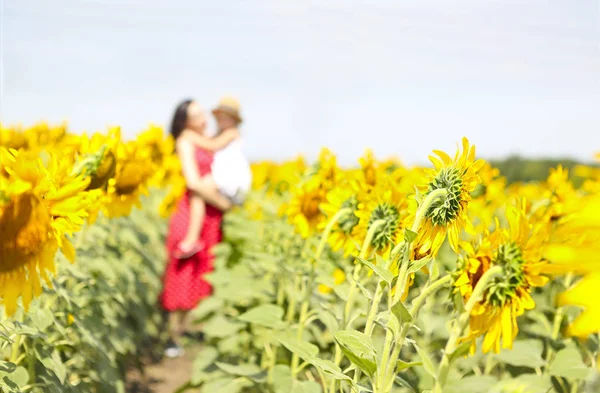 Happy Mother Her Little Daughter Sunflower Field — Stock Photo, Image