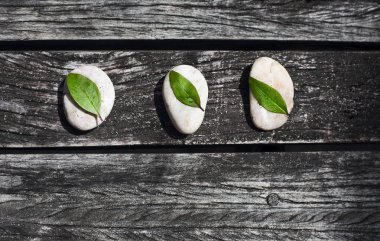 Zen ahşap arka plan gri taş ve yeşil yaprakları ile. Üstten Görünüm