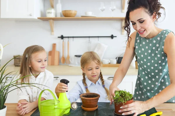 Beautiful young women with two little cute daughters planting fl — Stock Photo, Image