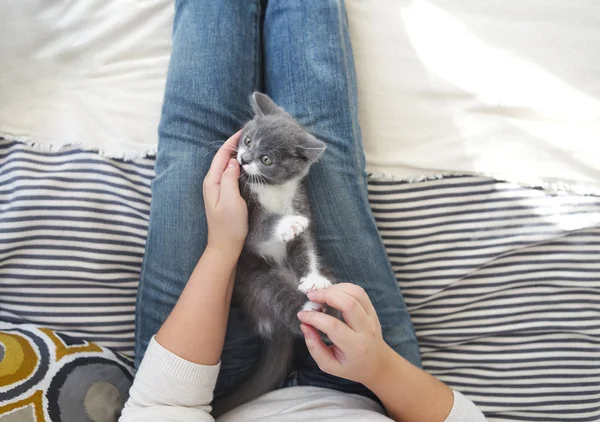 Ung kvinna med söta lilla kattunge sitter på sängen hemma — Stockfoto