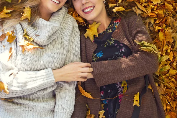 Fashionable beautiful young girlfriends together in the autumn p — Stock Photo, Image