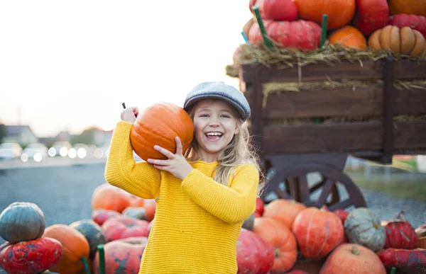 Niña feliz en el fondo del parche de calabaza de otoño. Tener —  Fotos de Stock