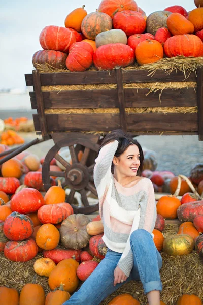 Fashionable beautiful young girl at the autumn pumpkin patch bac — Stock Photo, Image