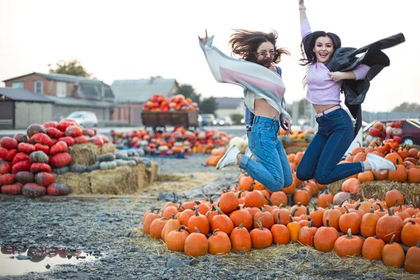 Modieuze mooie jonge vriendinnen samen in de herfst p — Stockfoto