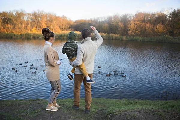 Otec, matka a malý syn krmí kachny — Stock fotografie