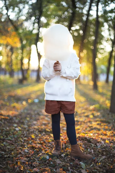 Liten söt flicka med sockervadd i höst parkens bakgrund — Stockfoto