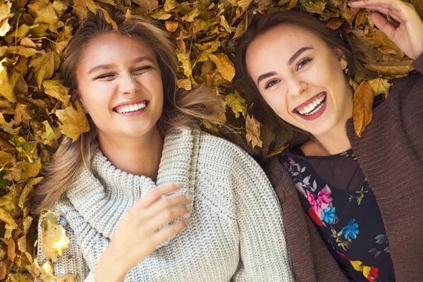 Fashionable beautiful young girlfriends together in the autumn p — Stock Photo, Image