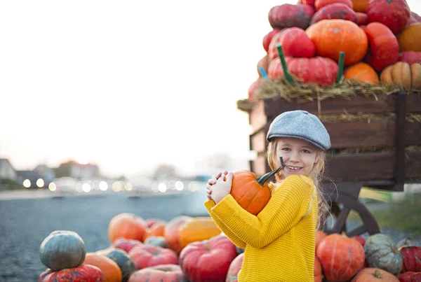 Happy little girl at the autumn pumpkin patch background. Having — Stock Photo, Image